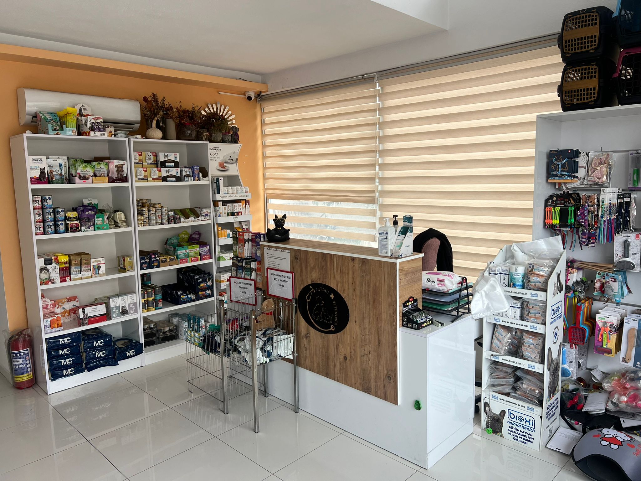 Veterinary care for dogs and cats in Manavgat